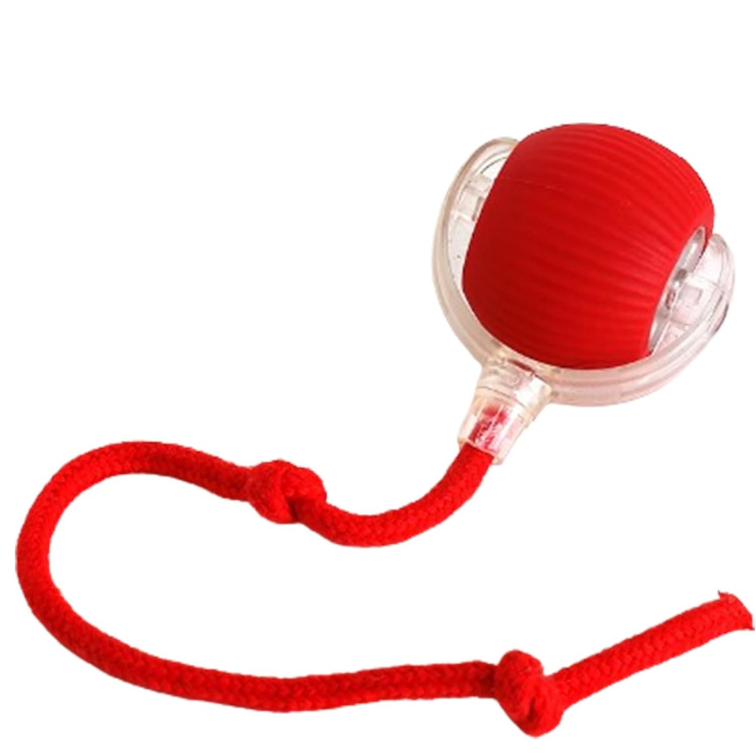 Ball Toy