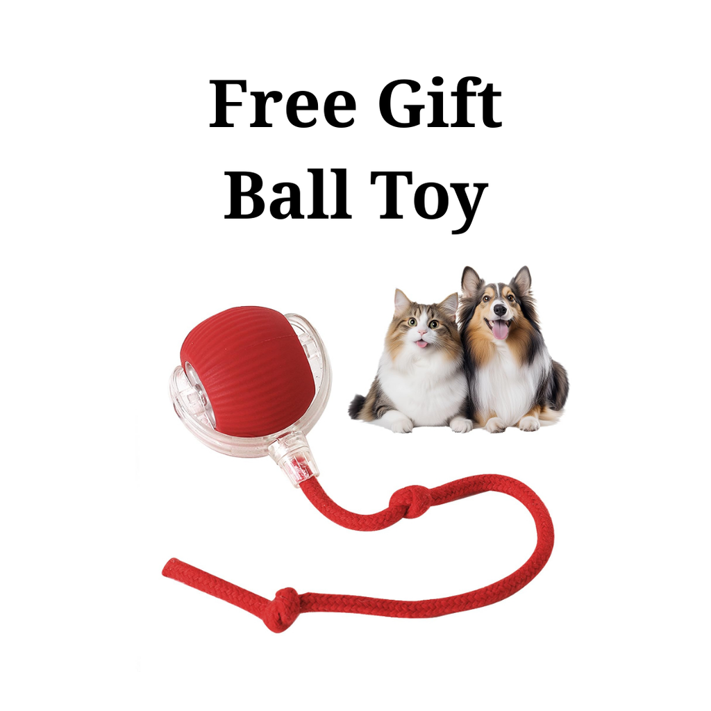 Pet Hair Removal Bundle