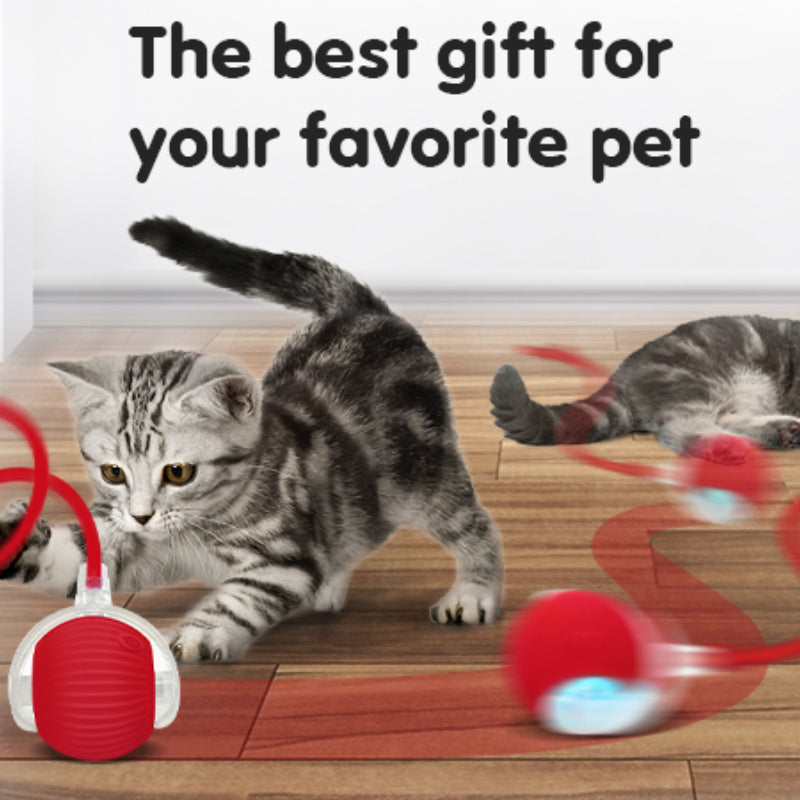 Ball Toy