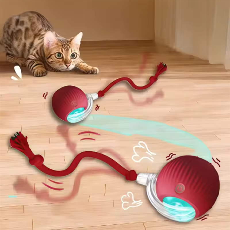 Ball Toy