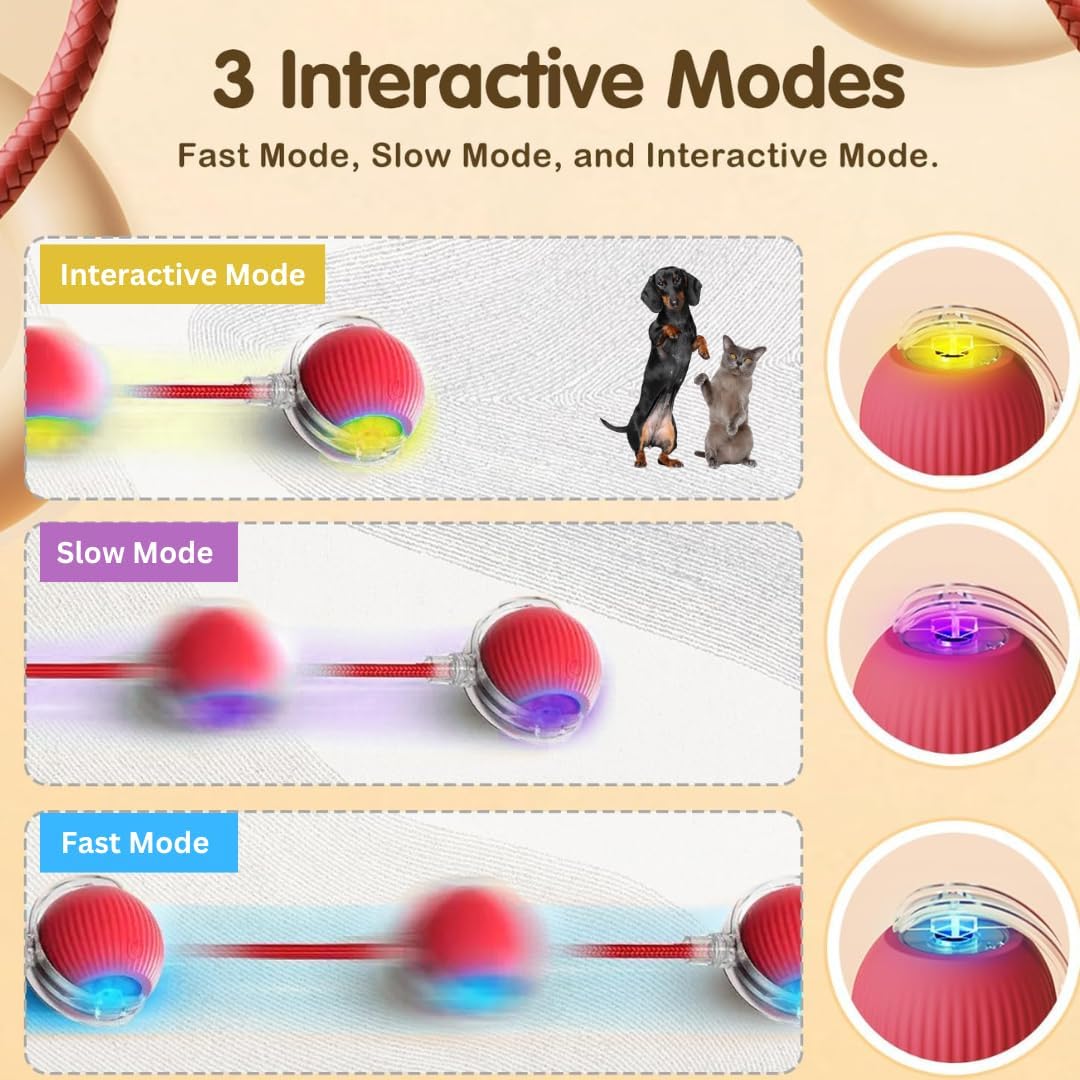 Ball Toy
